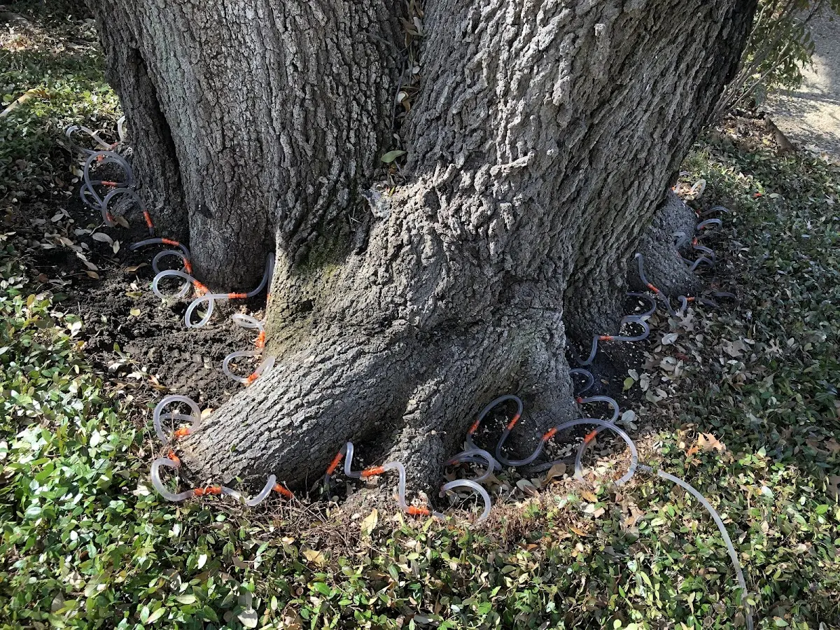 Detailed Shrub and Hedge Trimming job site in Jenks